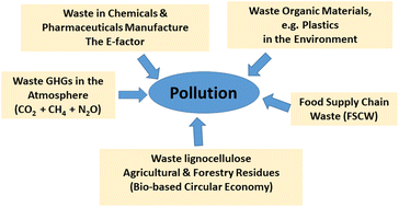 Graphical abstract: The E factor at 30: a passion for pollution prevention