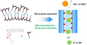 Graphical abstract: Poly(alkyl-biphenyl pyridinium) anion exchange membranes with a hydrophobic side chain for mono-/divalent anion separation