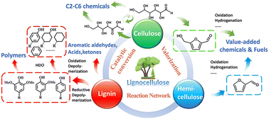 Graphical abstract: Catalytic conversion network for lignocellulosic biomass valorization: a panoramic view