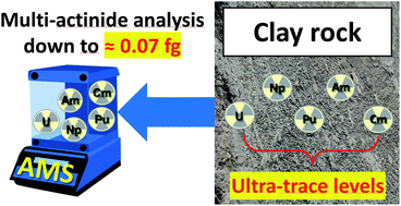 Graphical abstract: Concurrent determination of U, Np, Pu, Am, and Cm in clay systems at ultra-trace levels with accelerator mass spectrometry