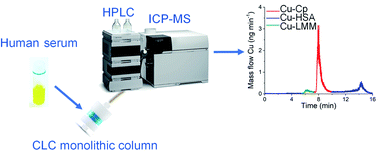 Graphical abstract: Speciation of copper in human serum using conjoint liquid chromatography on short-bed monolithic disks with UV and post column ID-ICP-MS detection