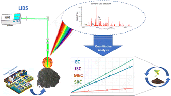 Graphical abstract: Evaluation of calibration approaches for quantitative analysis of sludge by laser induced breakdown spectrometry