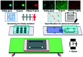 Graphical abstract: Micro-PCR chip-based multifunctional ultrafast SARS-CoV-2 detection platform
