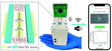 Graphical abstract: A visual portable microfluidic experimental device with multiple electric field regulation functions