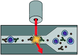 Graphical abstract: Fundamentals, biomedical applications and future potential of micro-scale cavitation-a review