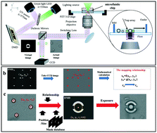 Graphical abstract: Rapid trapping and tagging of microparticles in controlled flow by in situ digital projection lithography