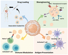 Graphical abstract: Emerging micro-nanotechnologies for extracellular vesicles in immuno-oncology: from target specific isolations to immunomodulation