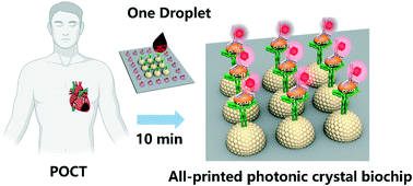 Graphical abstract: All-printed point-of-care immunosensing biochip for one drop blood diagnostics