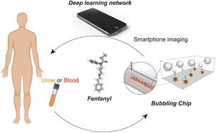 Graphical abstract: Deep learning-assisted sensitive detection of fentanyl using a bubbling-microchip