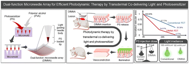 Graphical abstract: Dual-function microneedle array for efficient photodynamic therapy with transdermal co-delivered light and photosensitizers
