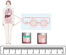 Graphical abstract: A similarity scaling approach for organ-on-chip devices