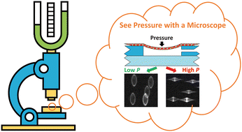 Graphical abstract: Design and fabrication of a novel on-chip pressure sensor for microchannels