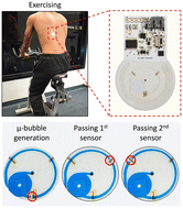Graphical abstract: Autonomous wearable sweat rate monitoring based on digitized microbubble detection