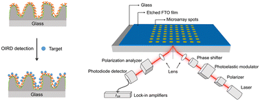 Graphical abstract: Label-free OIRD microarray chips with a nanostructured sensing interface: enhanced sensitivity and mechanism