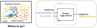Graphical abstract: Cells function as a ternary logic gate to decide migration direction under integrated chemical and fluidic cues