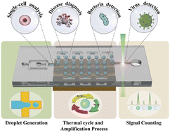 Graphical abstract: Advances in droplet digital polymerase chain reaction on microfluidic chips
