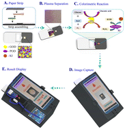Graphical abstract: Instrument-free single-step direct estimation of the plasma glucose level from one drop of blood using smartphone-interfaced analytics on a paper strip