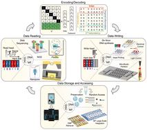 Graphical abstract: The emerging landscape of microfluidic applications in DNA data storage