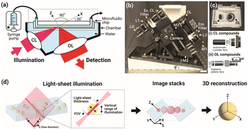Graphical abstract: Portable light-sheet optofluidic microscopy for 3D fluorescence imaging flow cytometry