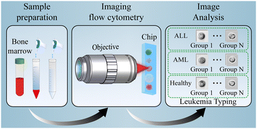 Graphical abstract: Typing of acute leukemia by intelligent optical time-stretch imaging flow cytometry on a chip