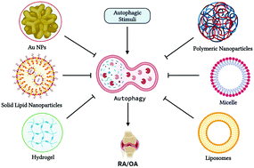 Graphical abstract: Autophagy targeting nanoparticles in rheumatoid arthritis and osteoarthritis