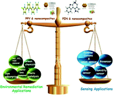 Graphical abstract: Polyindole and polypyrrole as a sustainable platform for environmental remediation and sensor applications