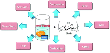 Graphical abstract: Application of ionic liquids for the functional materialization of chitin