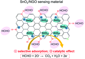 Graphical abstract: High content of hydrogenated pyridinic-N in a SnO2/NGO heterogeneous material as an ultra-high sensitivity formaldehyde sensor