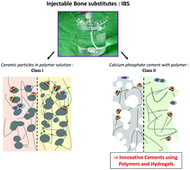 Graphical abstract: Injectable macromolecule-based calcium phosphate bone substitutes