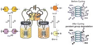 Graphical abstract: Metal-free polypeptide redox flow batteries