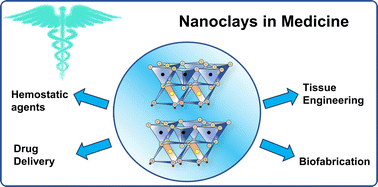 Graphical abstract: Nanoclays in medicine: a new frontier of an ancient medical practice