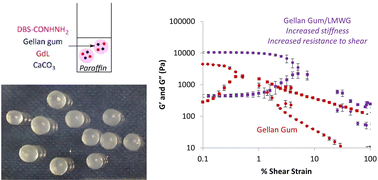 Graphical abstract: Combining gellan gum with a functional low-molecular-weight gelator to assemble stiff shaped hybrid hydrogels for stem cell growth