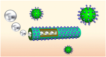 Graphical abstract: Swimming protein microtube motors capture virus-shaped fluorescent nanoparticles