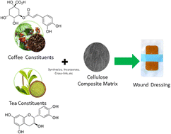 Graphical abstract: Cellulose composites containing active constituents of coffee and tea: a prospective novel wound dressing