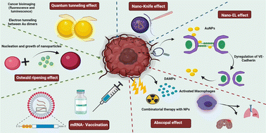 Graphical abstract: “Nano effects”: a review on nanoparticle-induced multifarious systemic effects on cancer theranostic applications