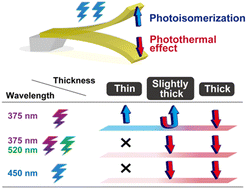 Graphical abstract: Crystal actuation switching by crystal thickness and light wavelength