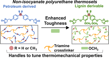 Graphical abstract: Lignin-derivable alternatives to petroleum-derived non-isocyanate polyurethane thermosets with enhanced toughness