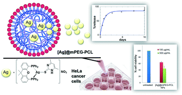 Graphical abstract: Pegylated-polycaprolactone nano-sized drug delivery platforms loaded with biocompatible silver(i) complexes for anticancer therapeutics