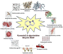 Graphical abstract: Insights into the medicinal chemistry of heterocycles integrated with a pyrazolo[1,5-a]pyrimidine scaffold
