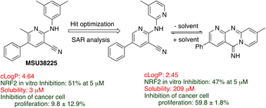 Graphical abstract: Exploring structural effects in a new class of NRF2 inhibitors