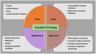Graphical abstract: Advanced approaches of developing targeted covalent drugs