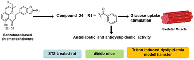 Graphical abstract: Design, synthesis, and evaluation of benzofuran-based chromenochalcones for antihyperglycemic and antidyslipidemic activities