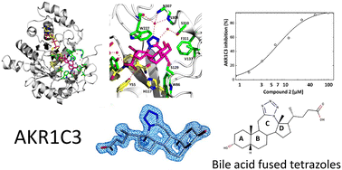 Graphical abstract: X-ray structure of human aldo–keto reductase 1C3 in complex with a bile acid fused tetrazole inhibitor: experimental validation, molecular docking and structural analysis