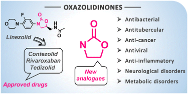 Graphical abstract: Oxazolidinones as versatile scaffolds in medicinal chemistry