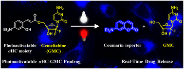 Graphical abstract: Visible and NIR light photoactivatable o-hydroxycinnamate system for efficient drug release with fluorescence monitoring