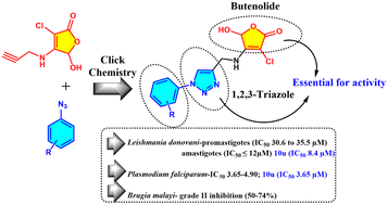 Graphical abstract: Antileishmanial evaluation of triazole–butenolide conjugates: design, synthesis, in vitro screening, SAR and in silico ADME predictions