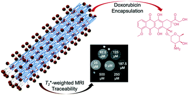 Graphical abstract: Engineered protein–iron oxide hybrid biomaterial for MRI-traceable drug encapsulation