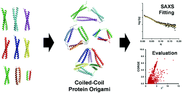 Graphical abstract: Coiled-coil protein origami nanostructure modeling for improved characterization and prediction