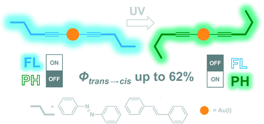 Graphical abstract: Efficient photoswitchable organometallic complexes with azobenzene and stilbene units: the case of Au(i)