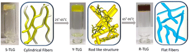 Graphical abstract: Heat triggered molecular restructuring results in triple gel–gel–gel transformations in a Li+-integrated metallogel